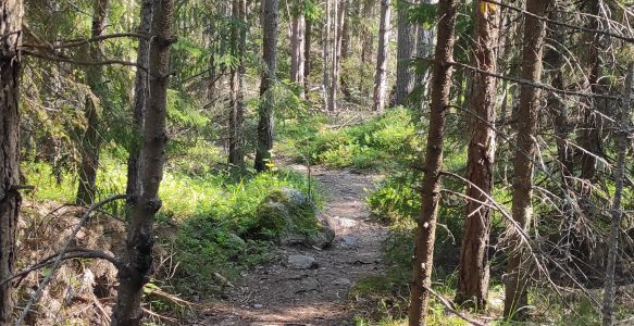 Urlaub 2025 – Tag 6