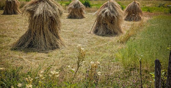 No. 4: Lass uns gehen