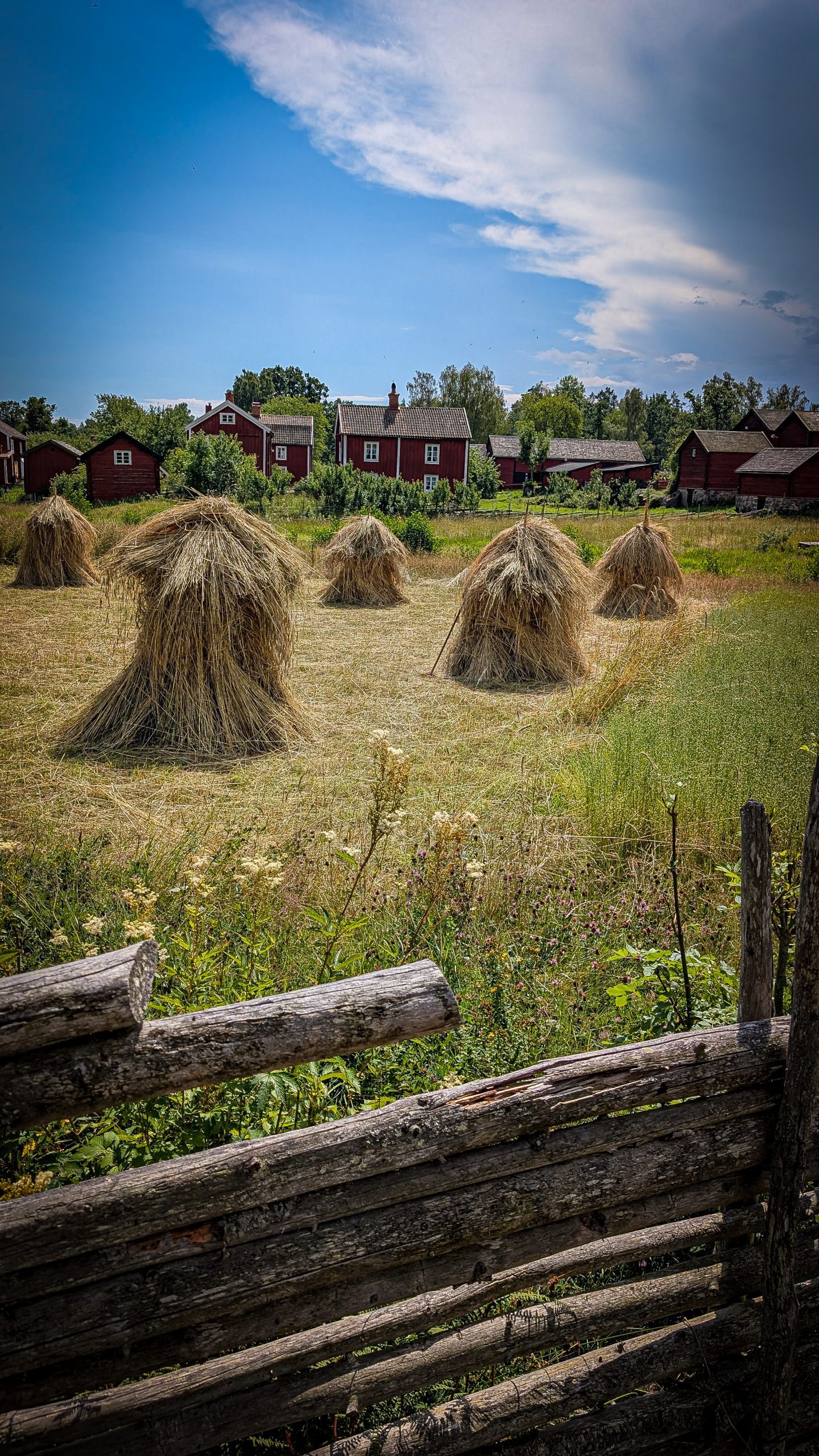 No. 4: Lass uns gehen