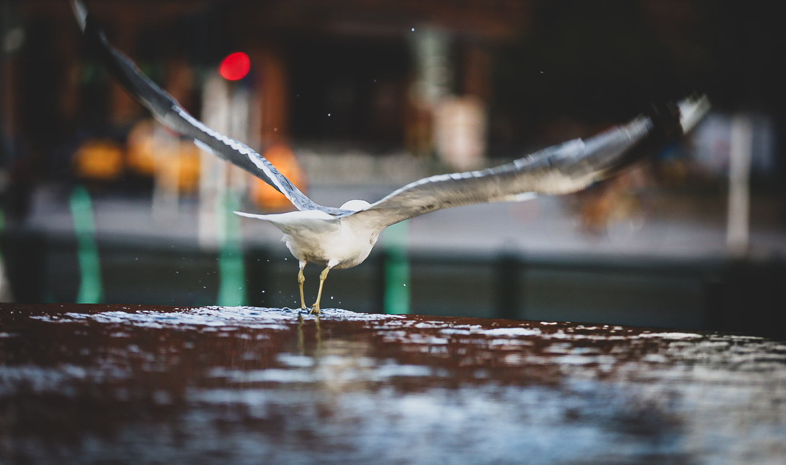 No. 23: Up where we belong