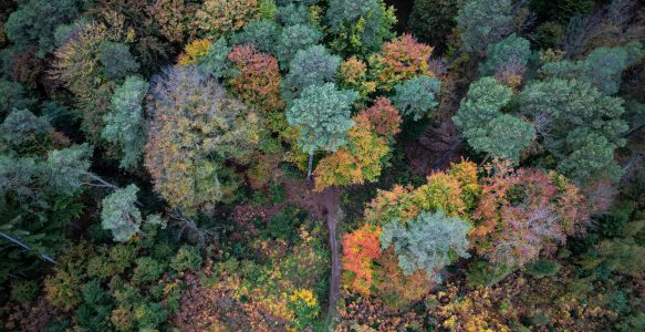 No. 13: Bunte Pyramiden