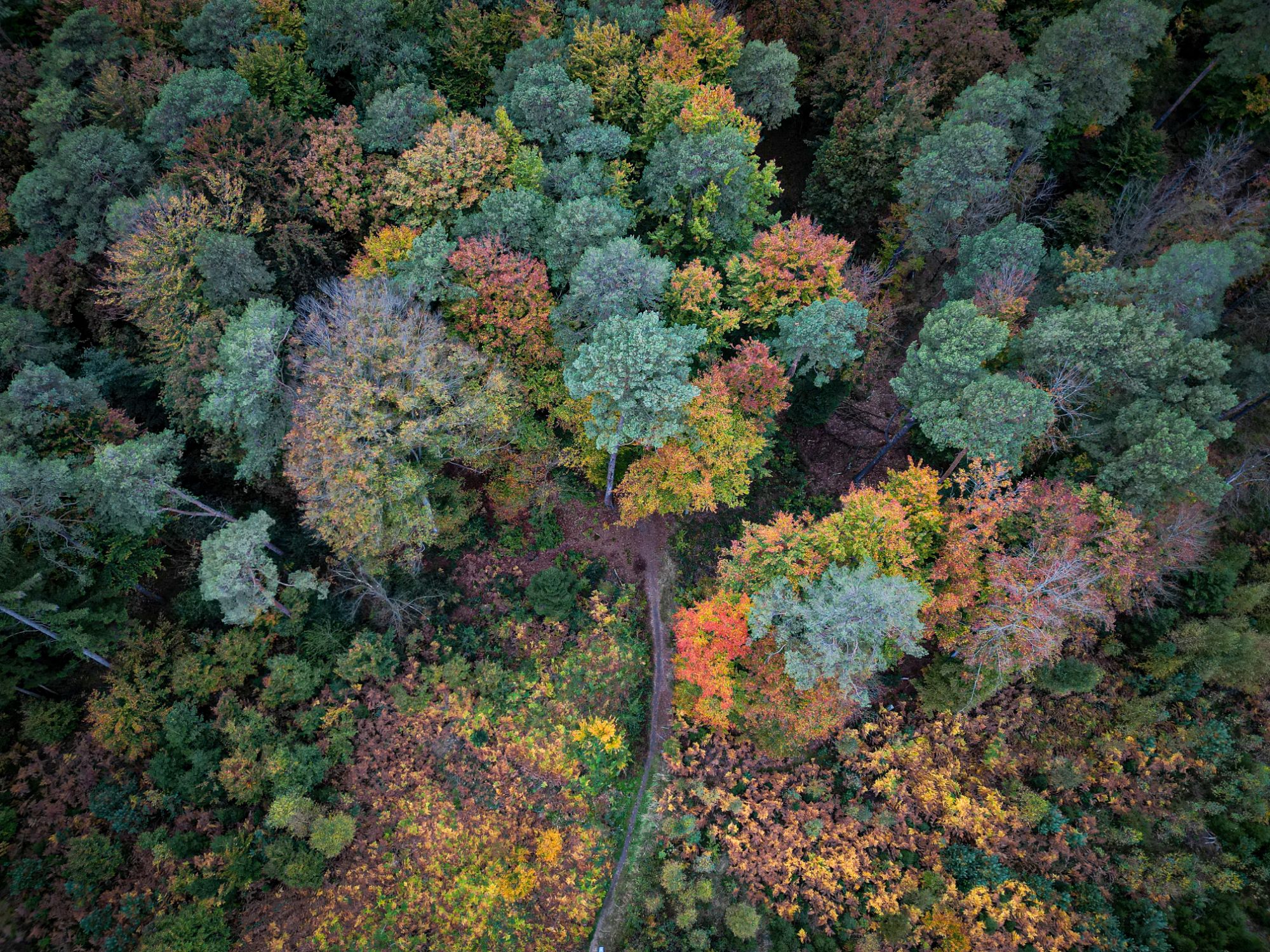 No. 13: Bunte Pyramiden