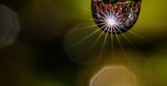 No. 24: Auld lang syne & Forever young