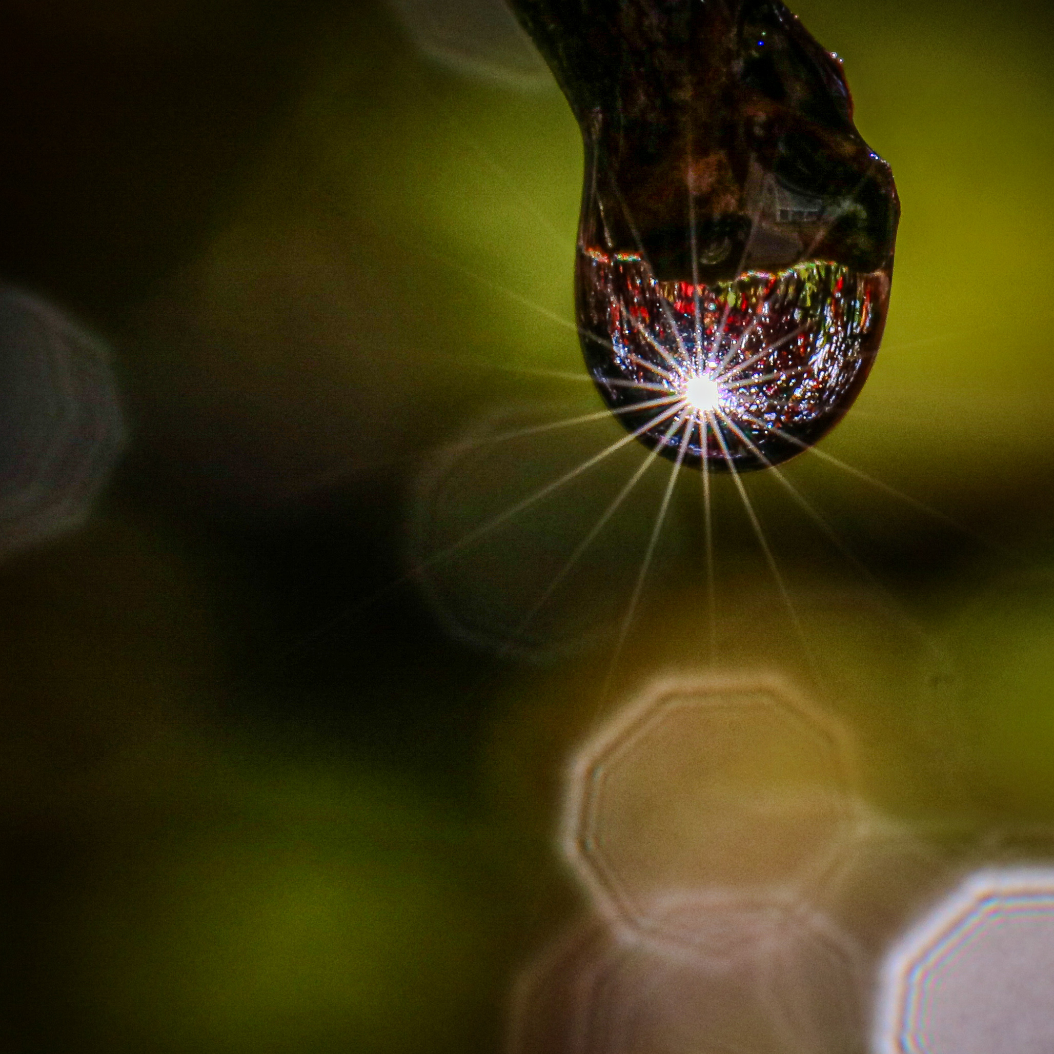 No. 24: Auld lang syne & Forever young