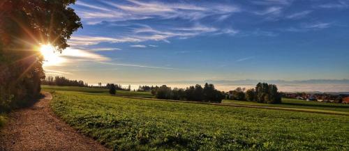 Alpenpanorama