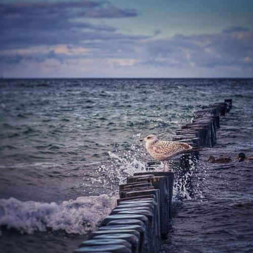 Ostsee