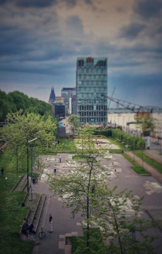 Skaterpark im Rheinauhafen