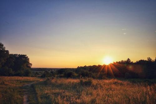 Sonnenstern