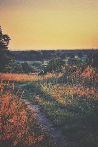 Blick auf den Geisterbusch