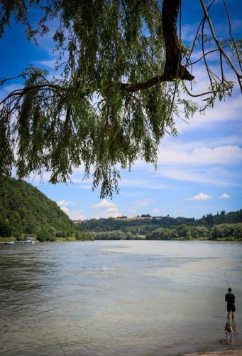 Dreiflüsseeck: Zusammenfluss von Donau und Inn