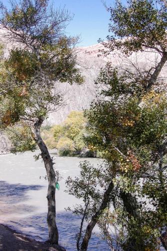 Wildwasserfluss-Flussoase im Canyon