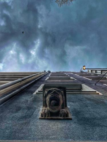 Blick nach oben ((c) Asuman)