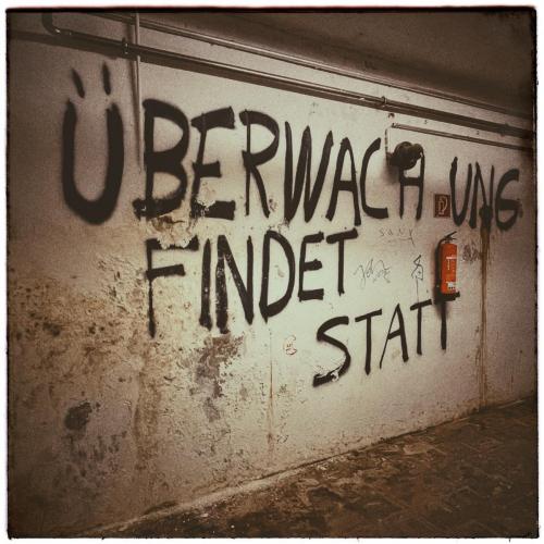 Ein spannender Mikrokosmos