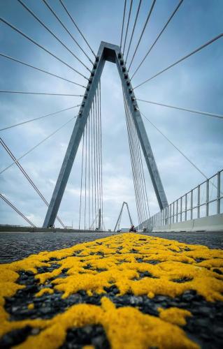 Neue Leverkusener Rheinbrücke 