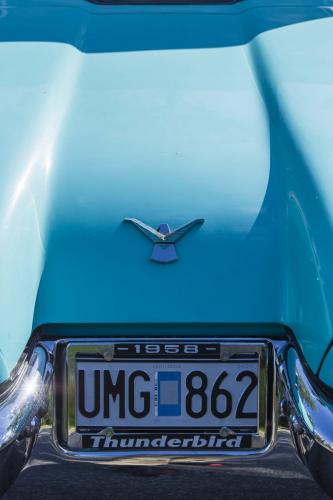 Thunderbird