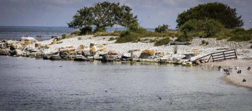 Ansonsten halten die Vögel eher Abstand