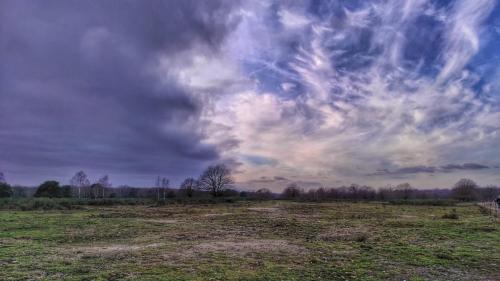 Wahner Heide