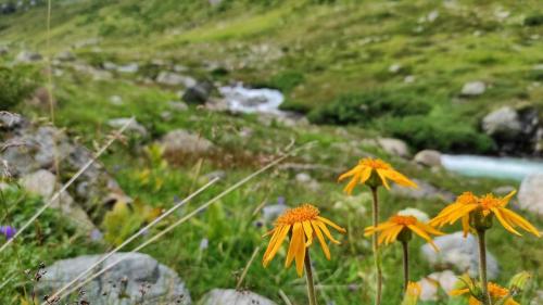 Verwall Alpen