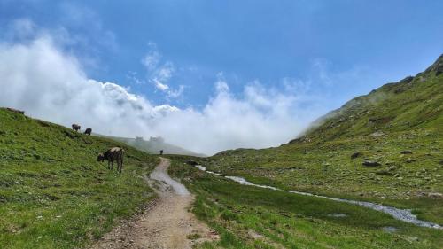 Verwall Alpen