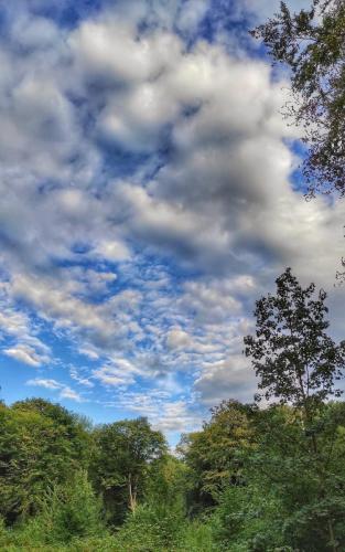 Schäfchenwolken