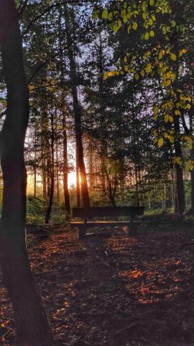 Sonnenbank
