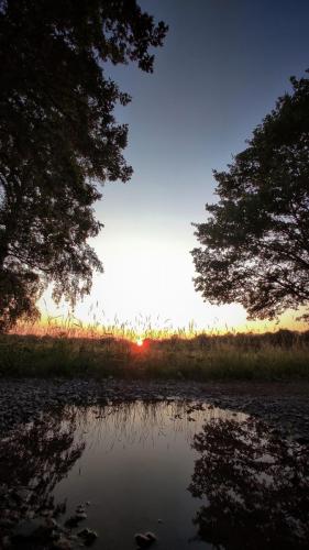 Ein letzter Blick auf die Sonne