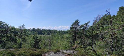 Wald