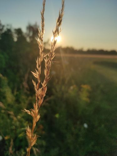 Zur goldenen Stunde
