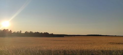 Zur goldenen Stunde