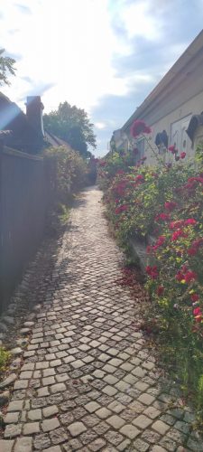 Fiskagärden