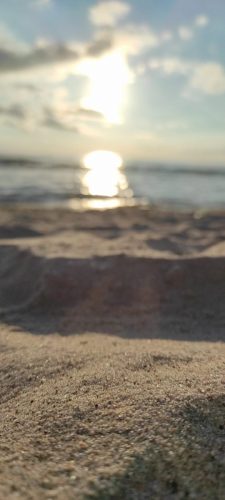 Tofta Beach