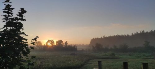 Sonnenaufgang im Nebel
