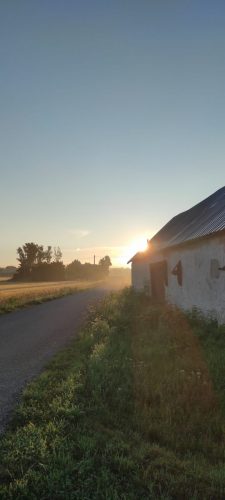 Sonnenaufgang im Nebl