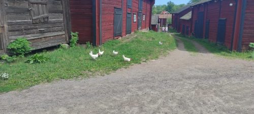 Stensjö by