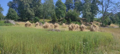 Stensjö by Flachs