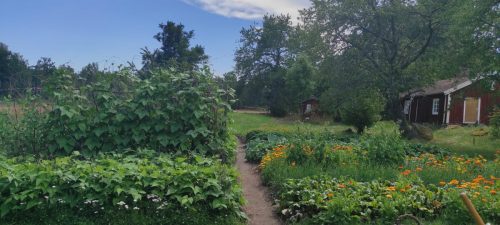 Stensjö by Beet