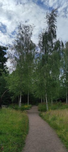 Garten bei der Ausstellung