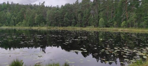 Natiolpark Norra Kvill