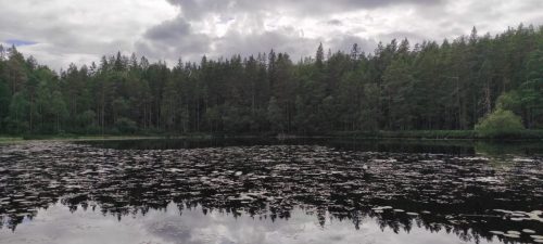 Natiolpark Norra Kvill