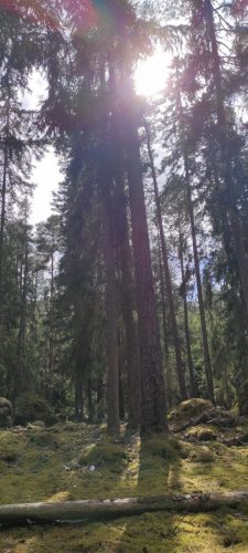 Natiolpark Norra Kvill