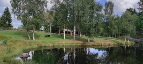 In Katthult