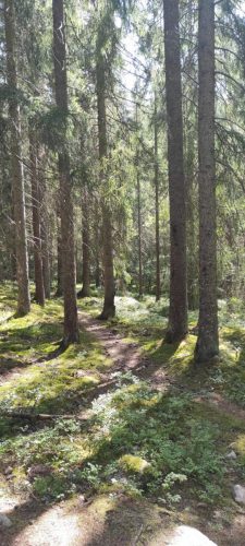 Naturreservat Skurugata