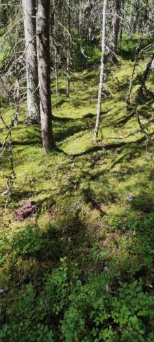 Naturreservat Skurugata