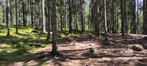 Naturreservat Skurugata