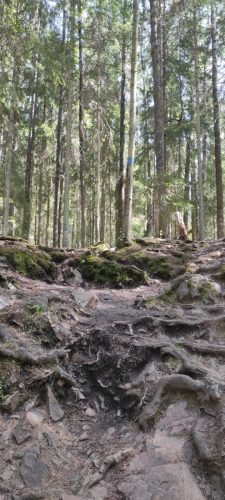 Naturreservat Skurugata