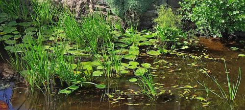 Eksjöan (Fluss/Bach)