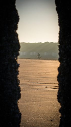 Strandläufer