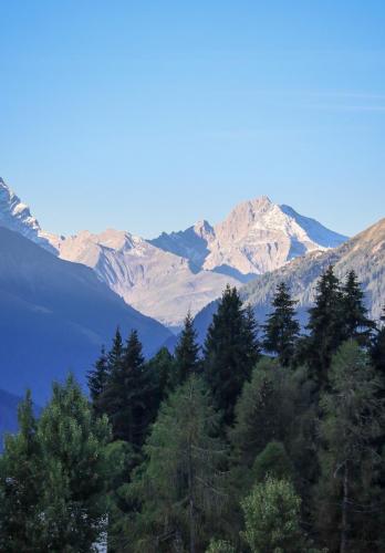 Davoser Bergwelt