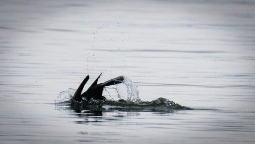 Wetter zum Abtauchen