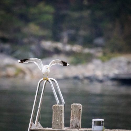 Abflug zum nächsten Strand